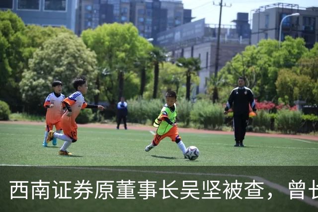 西南证券原董事长吴坚被查，曾长期执掌跨境业务
